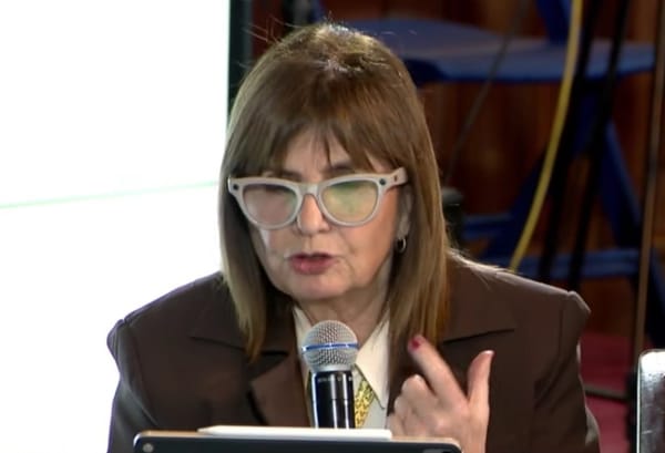 Bullrich Blocks Judicial Appointment in Senate Clash